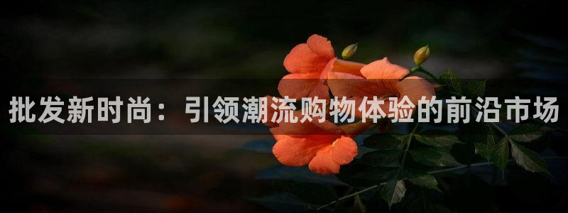 开丰娱乐注册自判官333OO