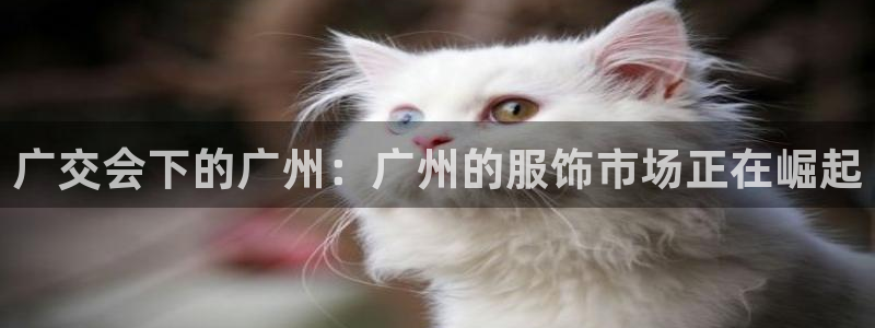 开丰娱乐日