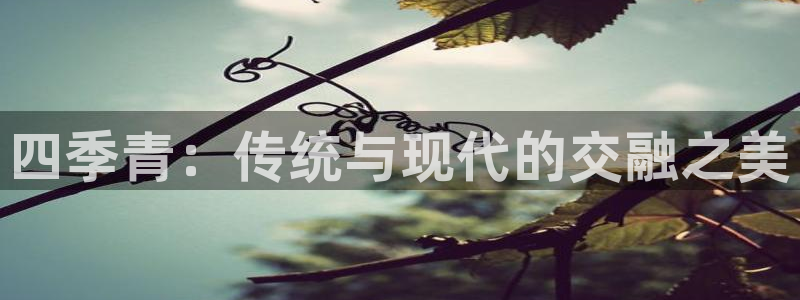 开丰娱乐天富娱乐