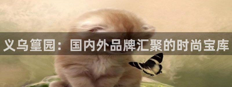 开丰娱乐登入地址在哪里