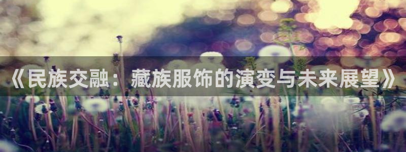 开丰娱乐 赢咖一