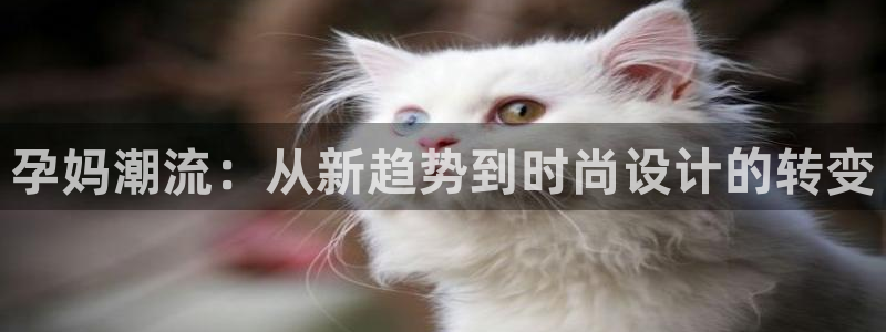 开丰娱乐官方app