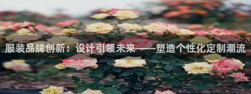 开丰娱乐app