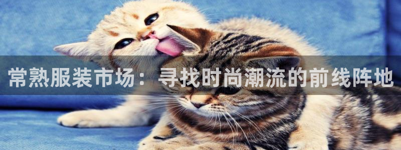 开丰娱乐登入地址在哪