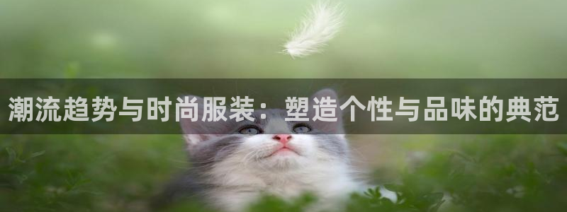 开丰娱乐日