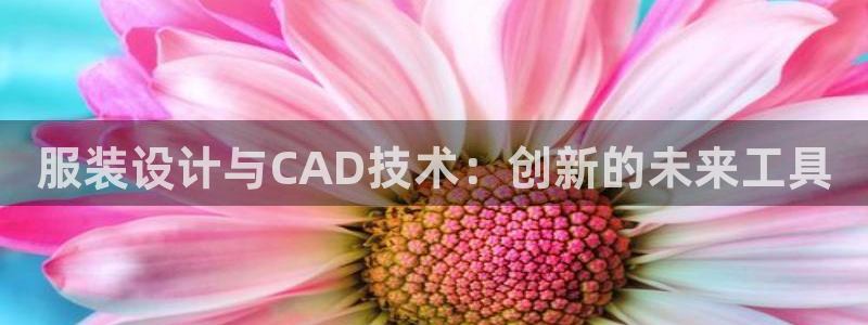 开丰娱乐网站官网入口