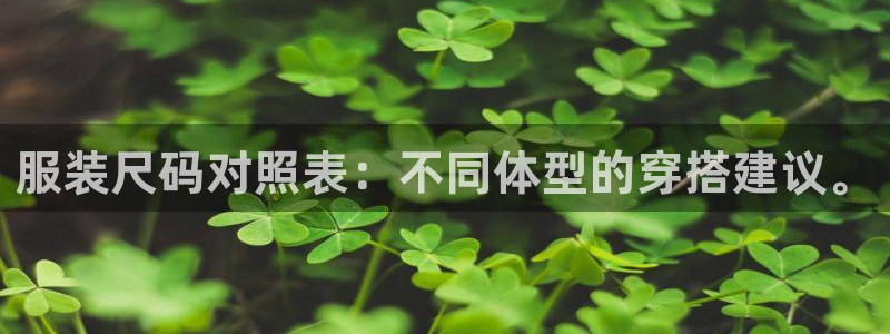 开丰娱乐地址查询