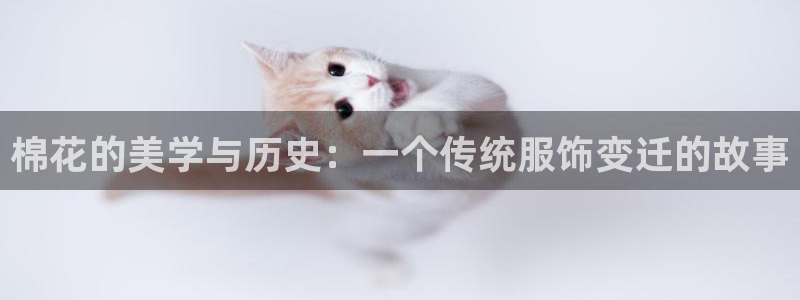 开丰娱乐开户