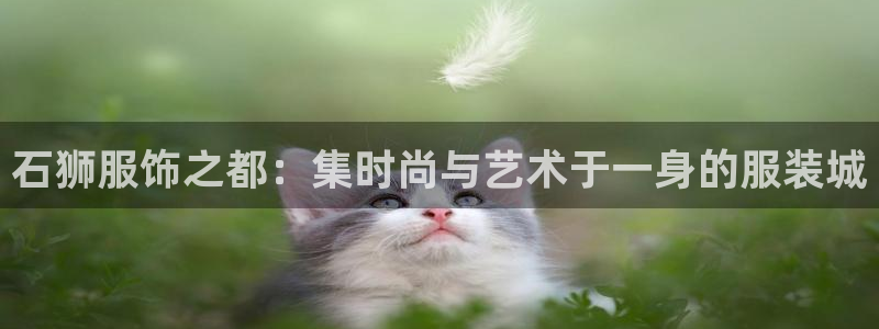 开丰娱乐趣 7O935