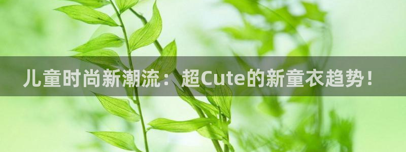开丰娱乐官网平台下载