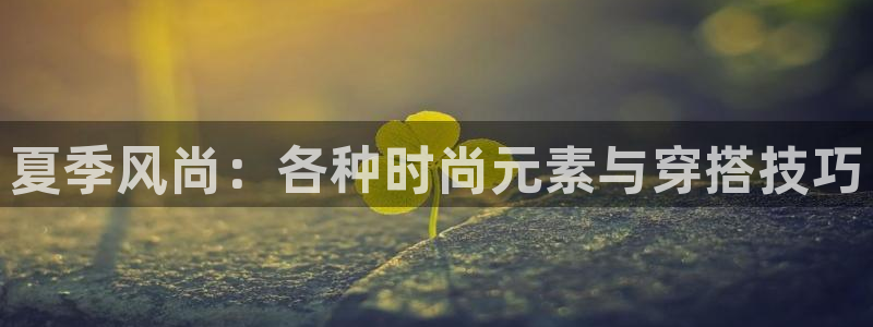 开丰娱乐怎么开转点