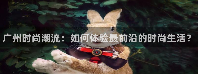 开丰娱乐更多平台