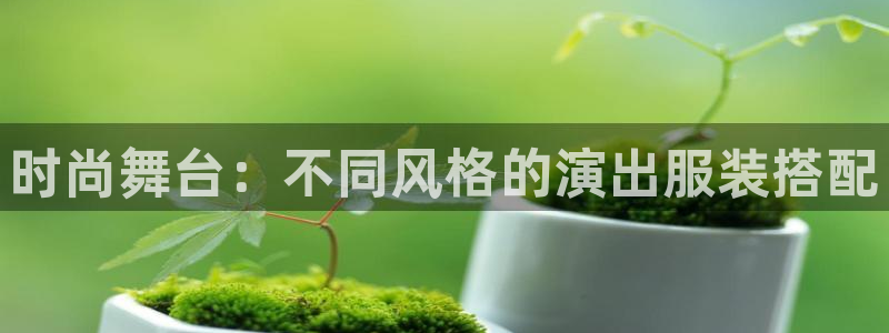 开丰娱乐平台地址查询