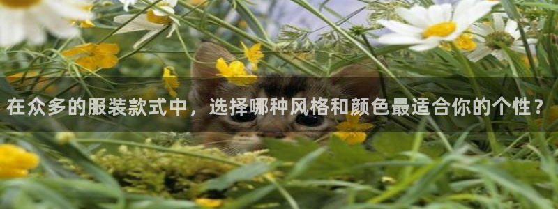 开丰娱乐官网登录平台