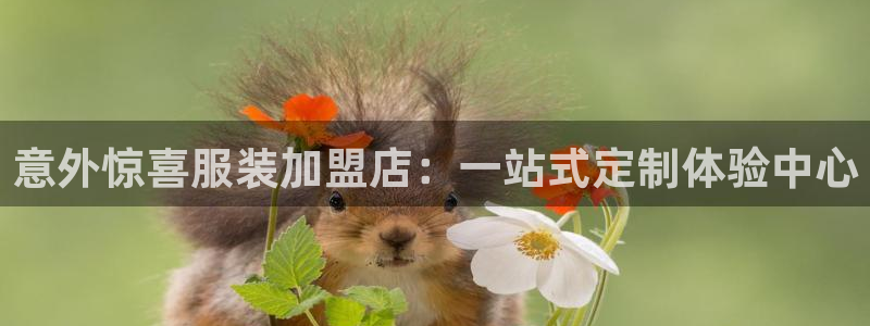 开丰娱乐注册登录