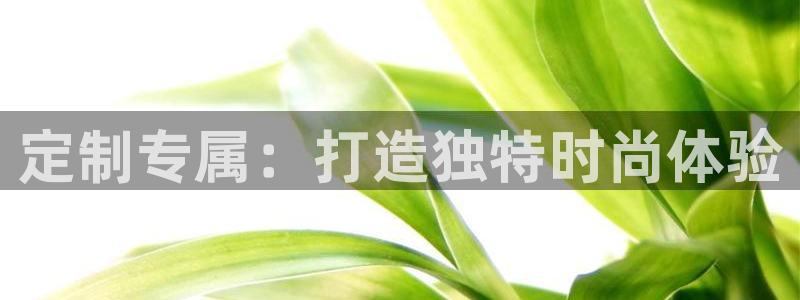 开丰娱乐上