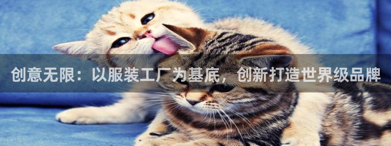 开丰娱乐体育平台