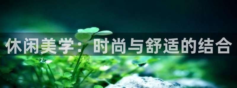 开丰娱乐更多平台
