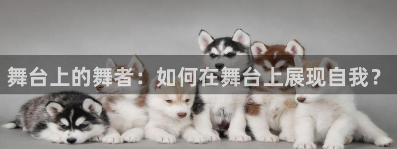 开丰娱乐网站官网首页