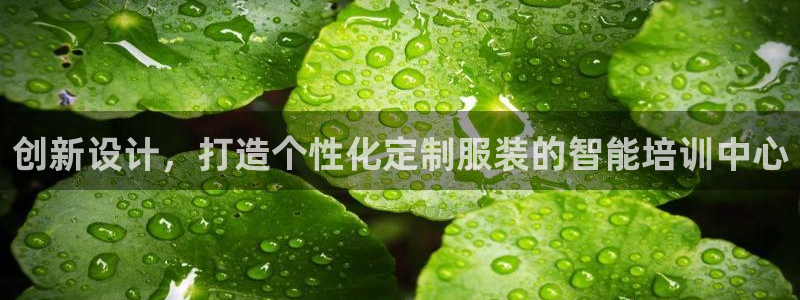 开丰娱乐平台登录：创新设计，打造个性化定