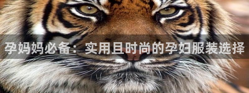 开丰娱乐月7O667