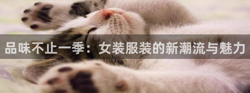 开丰娱乐登入地址查询