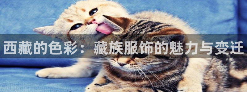 开丰娱乐登入地址查询：西藏的色彩：藏族服