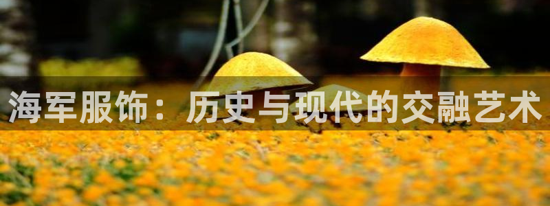 开丰娱乐新登录平台