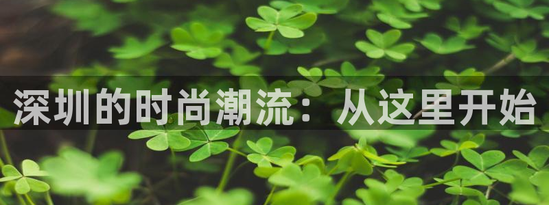 开丰娱乐平台登录网址