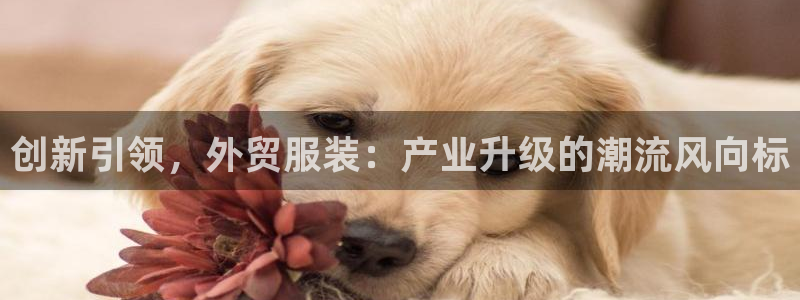 开丰娱乐天富娱乐