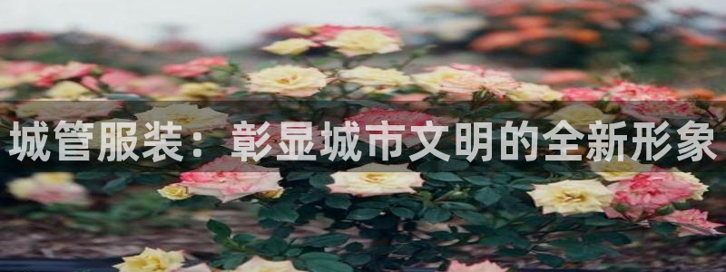 开丰娱乐于六七五一38