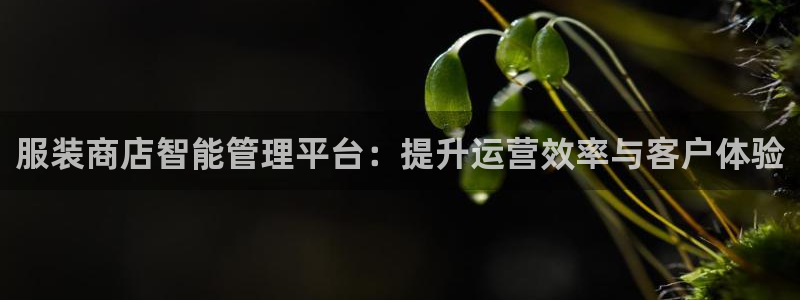 开丰娱乐怎么样