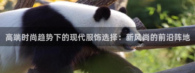 开丰娱乐月7O667