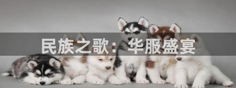 开丰娱乐乙833_43